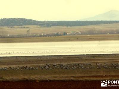 Hoces y cañones del Río Piedra y del Río Gallo -- Laguna Gallocanta - excursiones y senderismo;ru